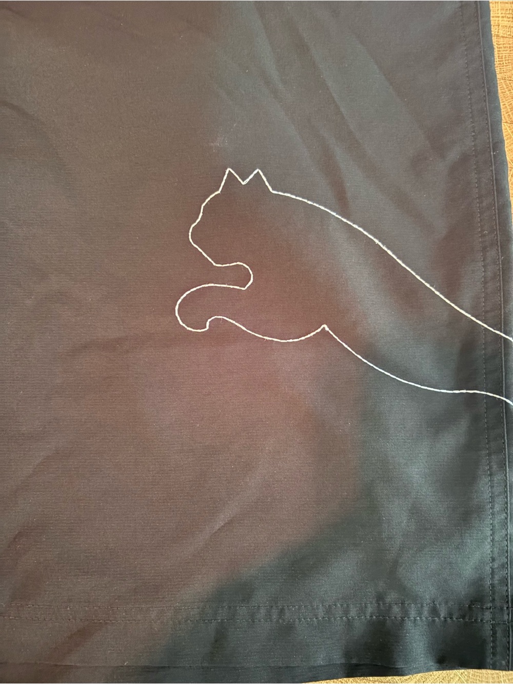 XL Puma tank and shorts, AE hoody, 2 pairs track pants - Picture 5 of 7